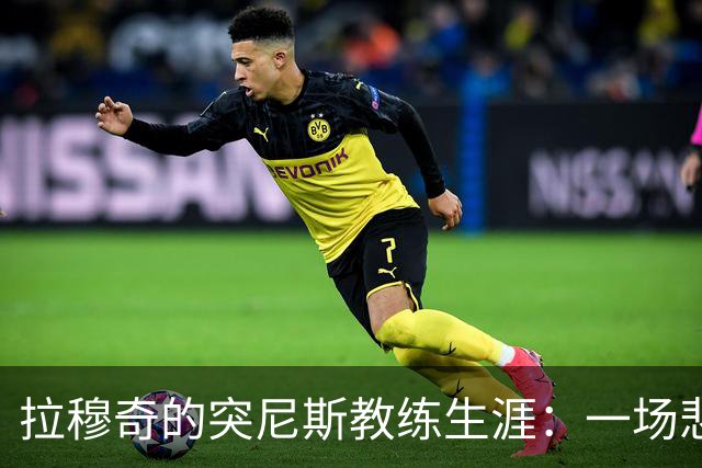 拉穆奇的突尼斯教练生涯：一场悲伤的足球喜剧